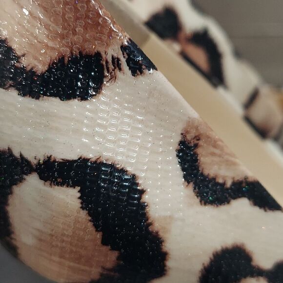 Giuseppe Zanotti Design Animal Print Peep Toe Heels Sz 38.5 - Picture 10 of 10